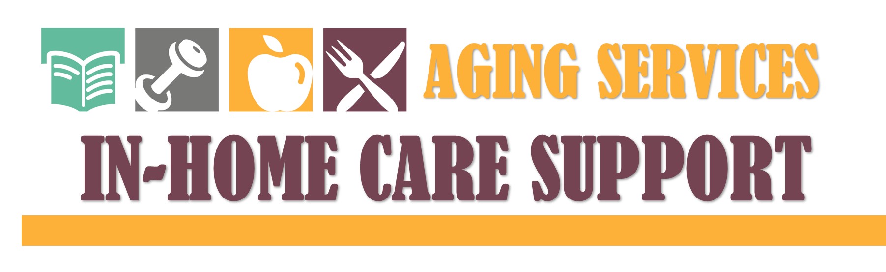 in home care support